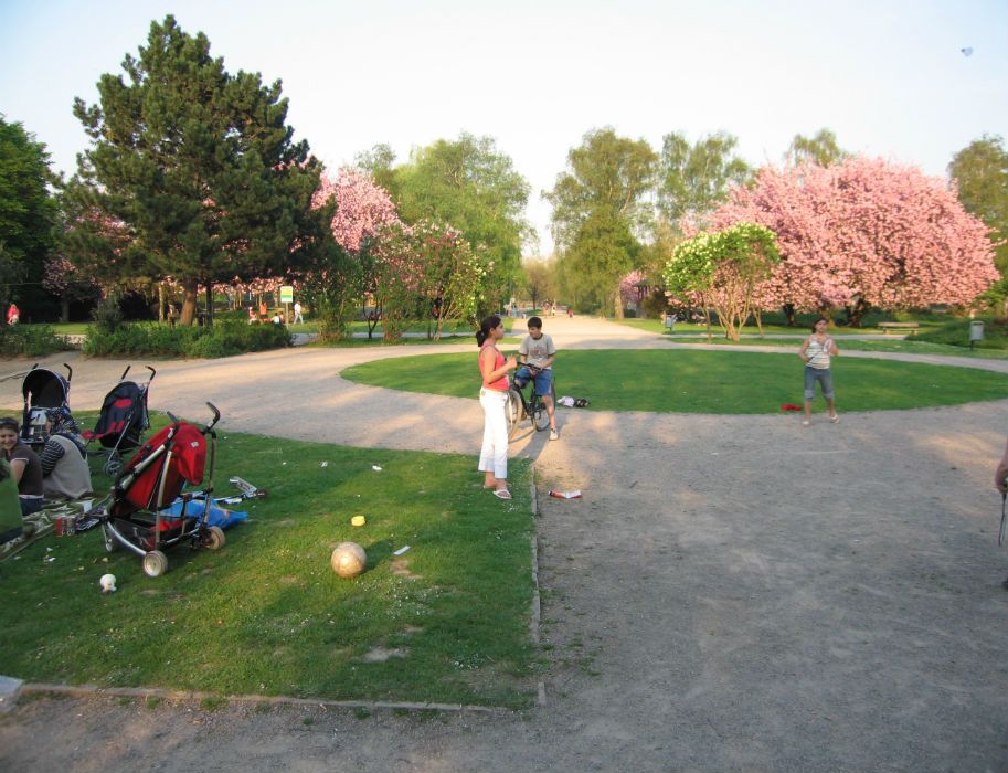 Inzichten uit de rondleidingen