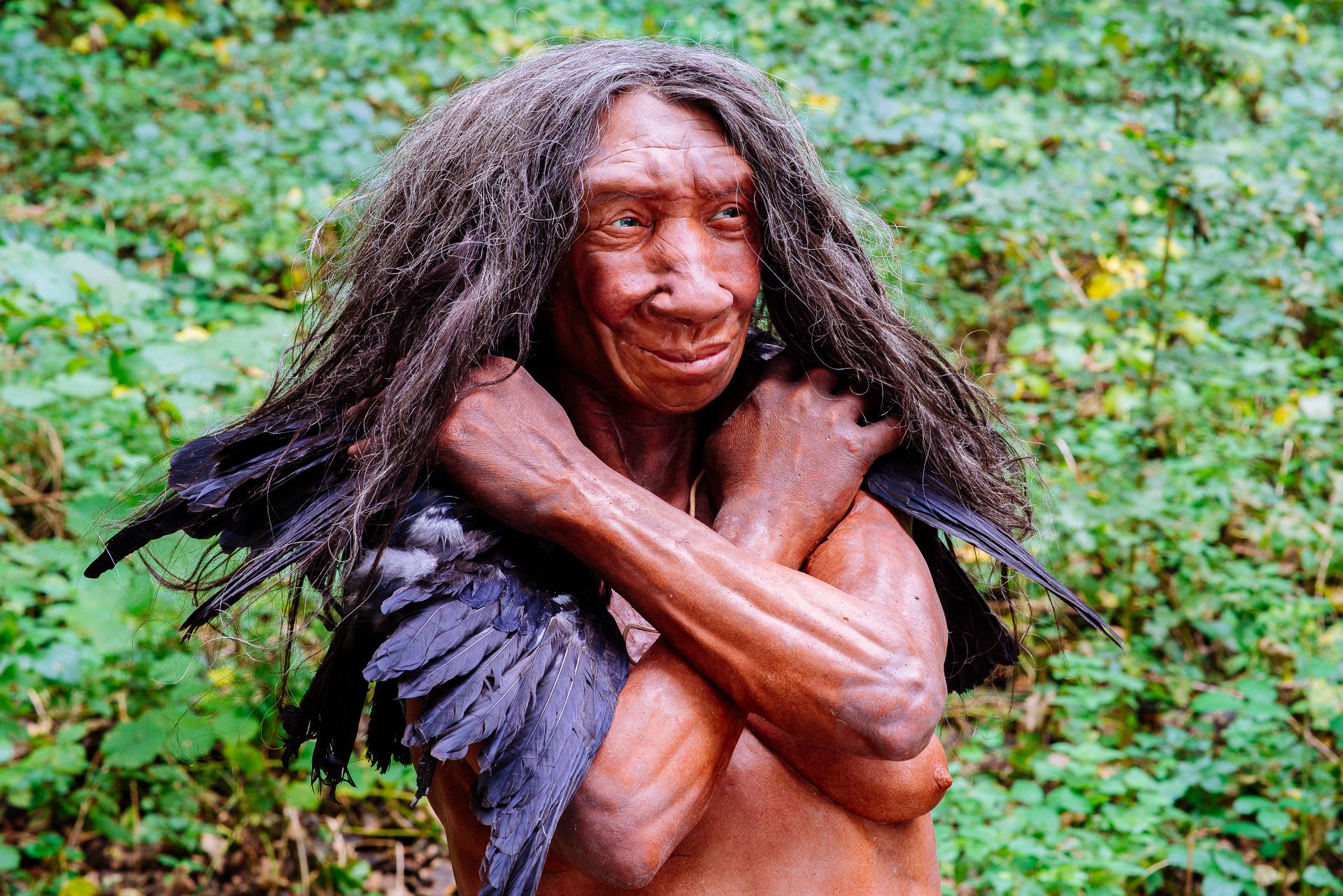 Levensverhalen van individuele Neanderthaler vrouwen staan centraal in de tentoonstelling in het Neanderthal Museum. Levensgrote figuren illustreren hoe ze eruit zagen