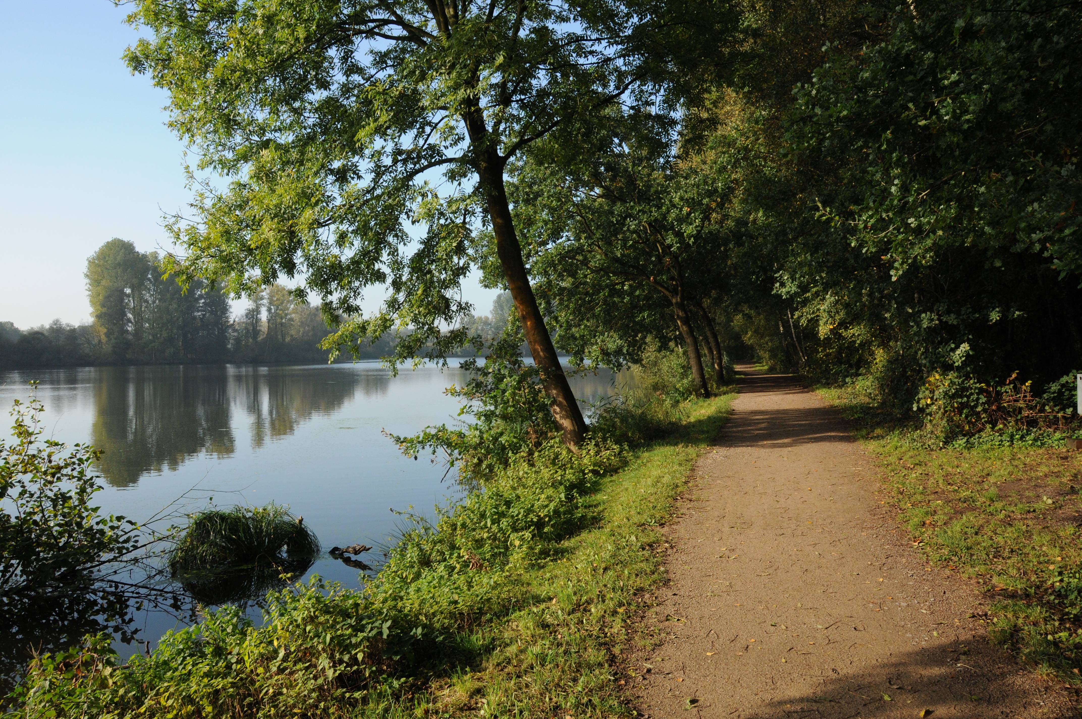 Aan het water, natuurpark Schwalm-Nette