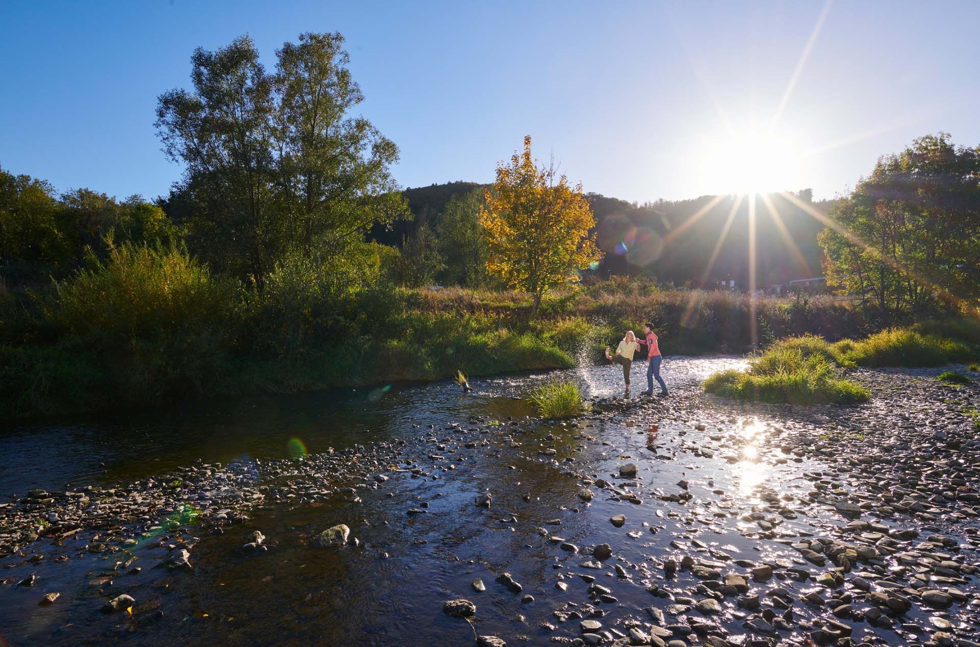 Natuurpark Arnsbergse Woud