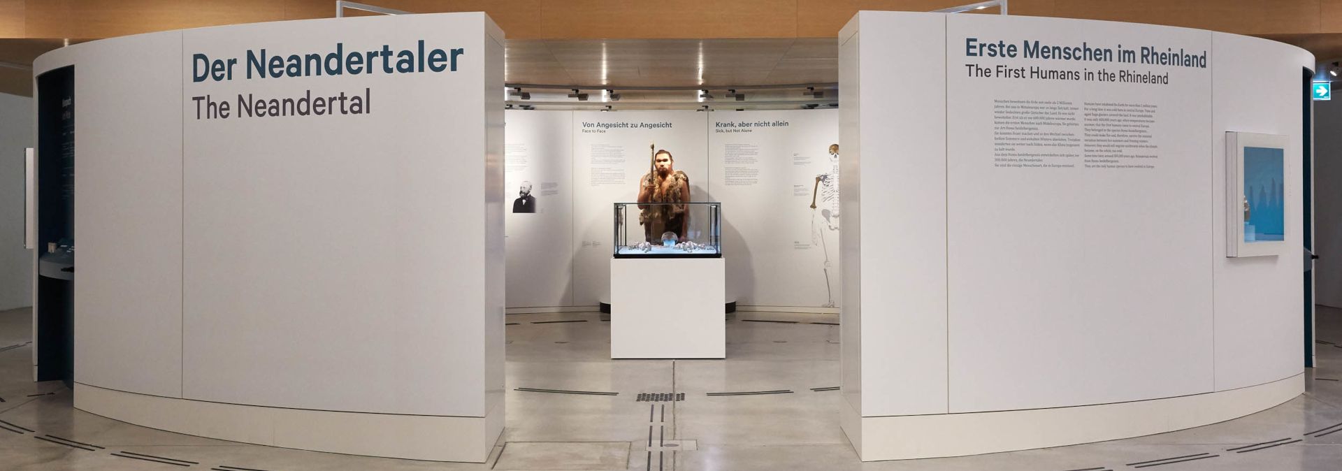 Gasten kunnen de wereldberoemde Neanderthaler van dichtbij bekijken in een rotonde in de foyer van het museum.