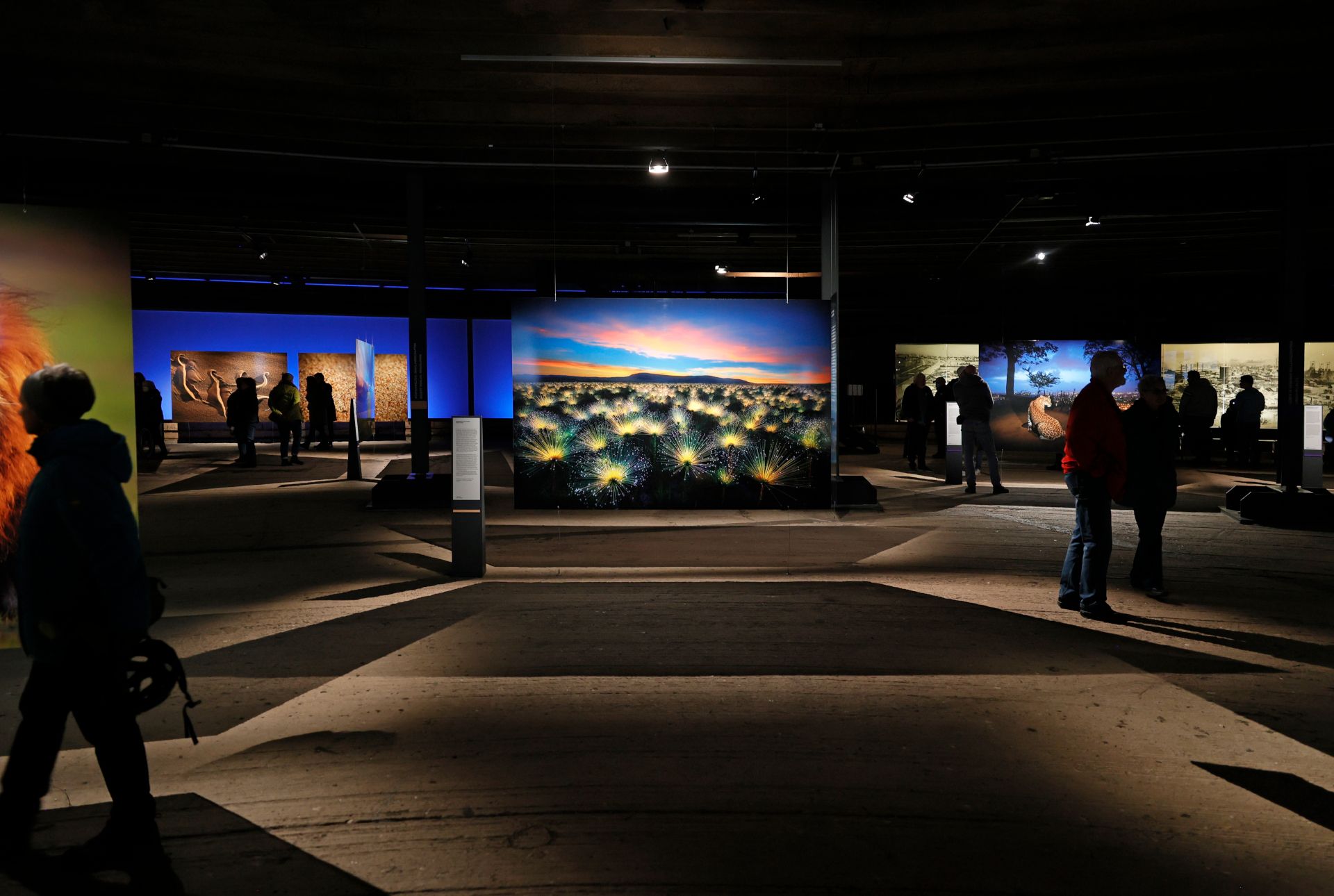 Foto's op groot formaat sturen gasten op een gedachtereis in bijna elke Gasometer-tentoonstelling