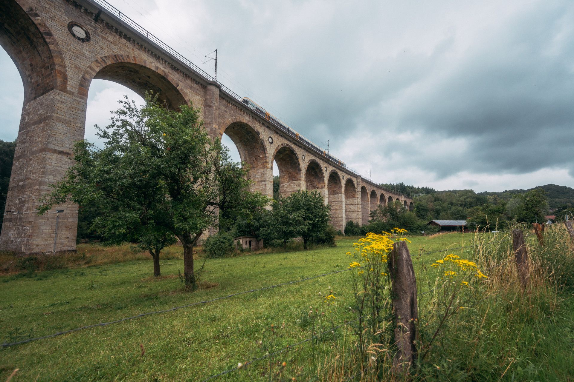 Viaduct met bomen bij Altenbecken