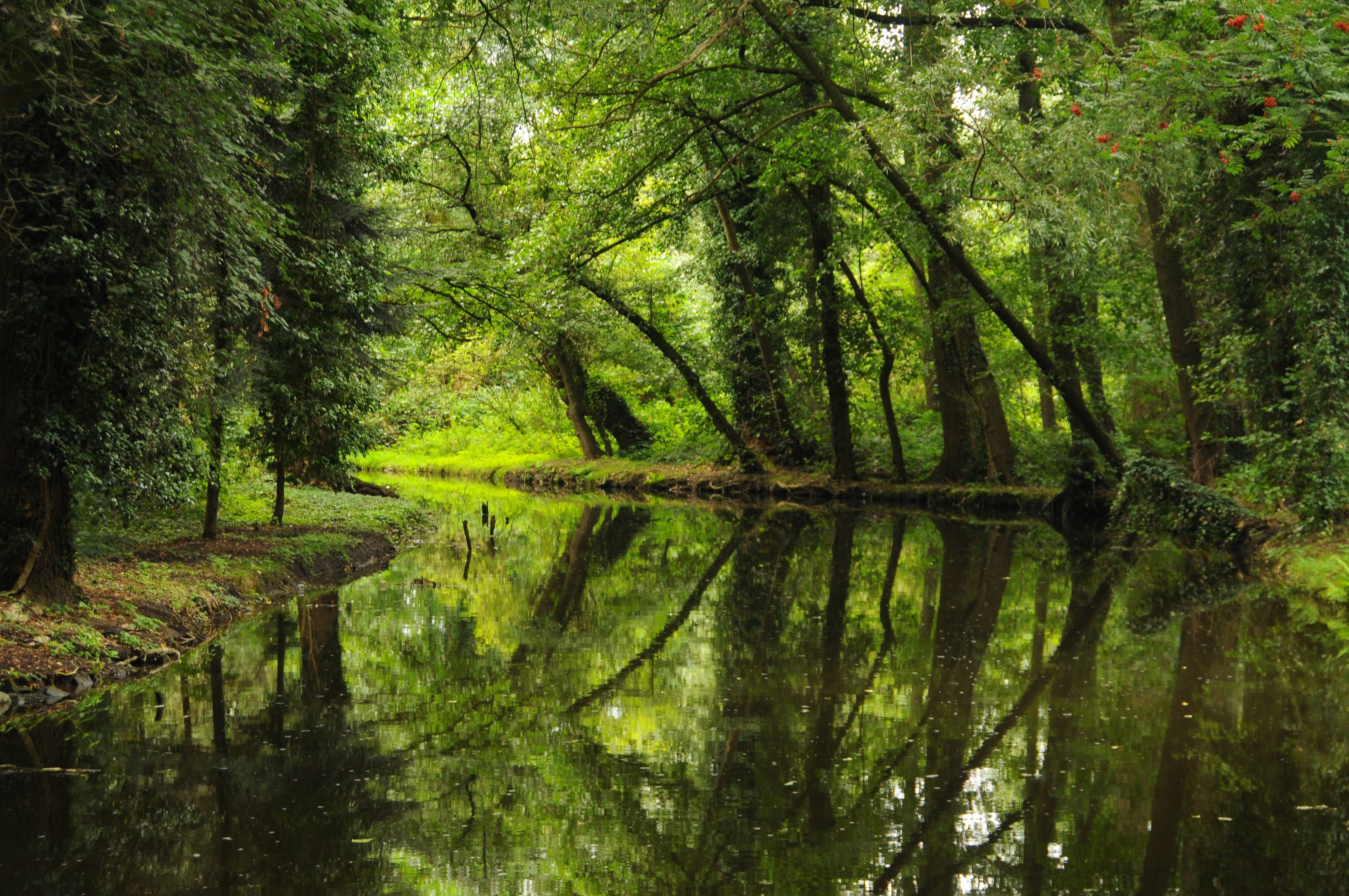 Natuurpark Schwalm-Nette