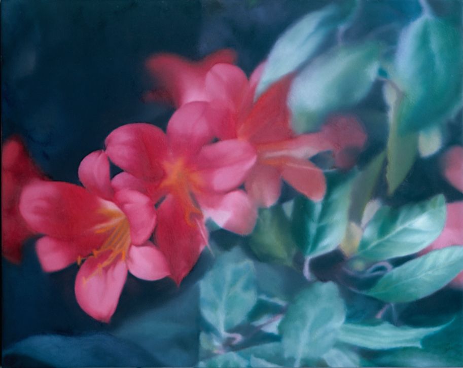 Gerhard Richter, Bloemen, 1977, olieverf op doek, 40 x 50 cm, privé-verzameling