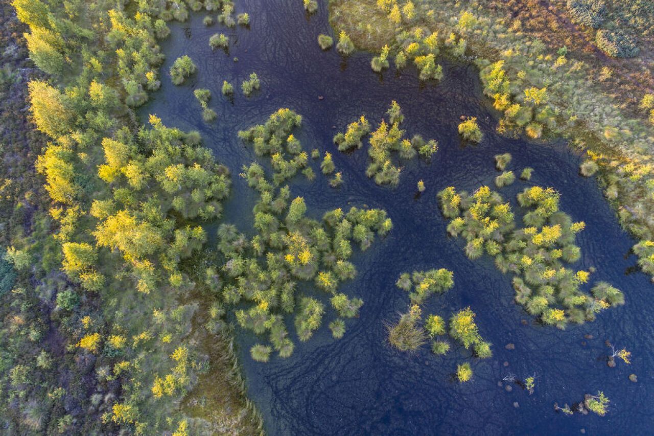 Natuurpark Dümmer Moor vanuit de lucht