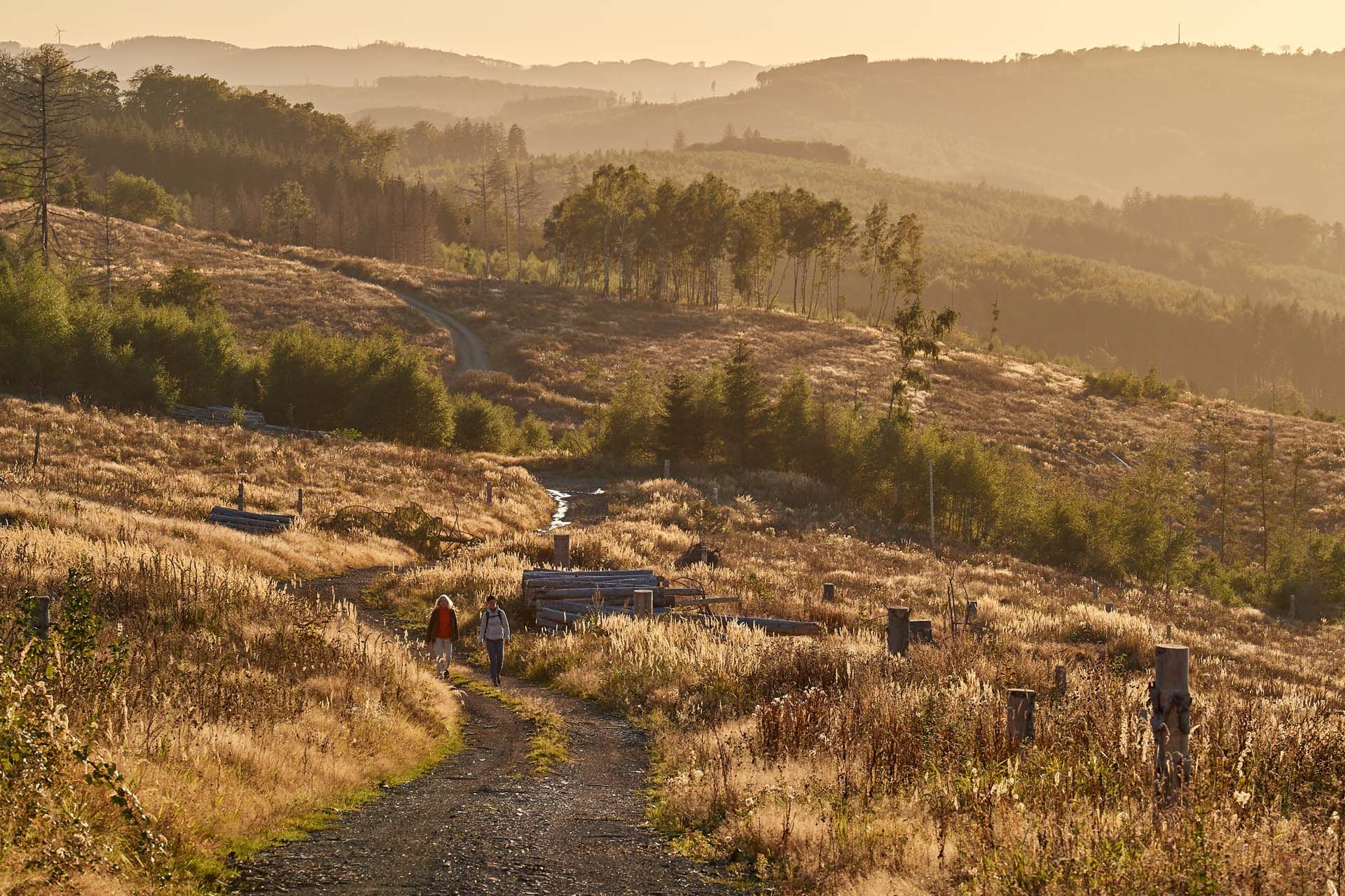 Natuurpark Arnsberger Woud