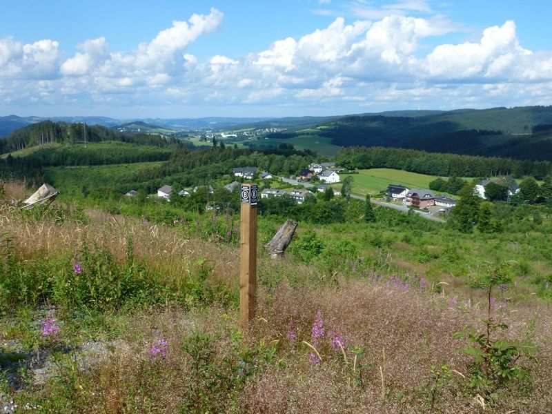 Uitzicht langs het Bestwiger Panorama Trail