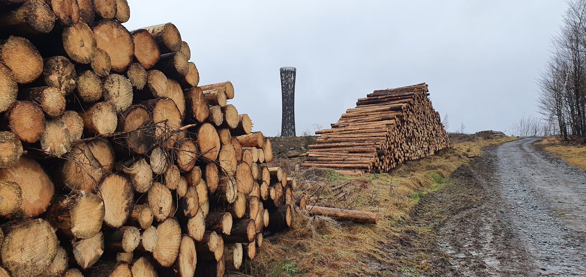 Hout langs de kant van de weg Lörmecketurm