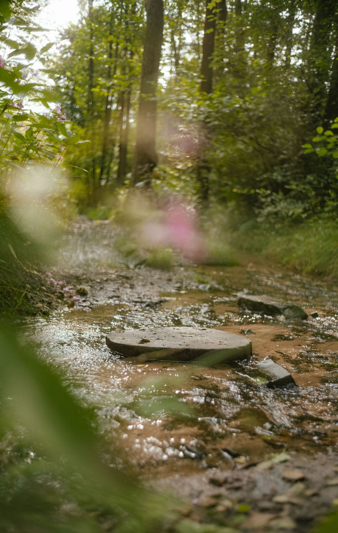 Natuur in het Bergisches Land