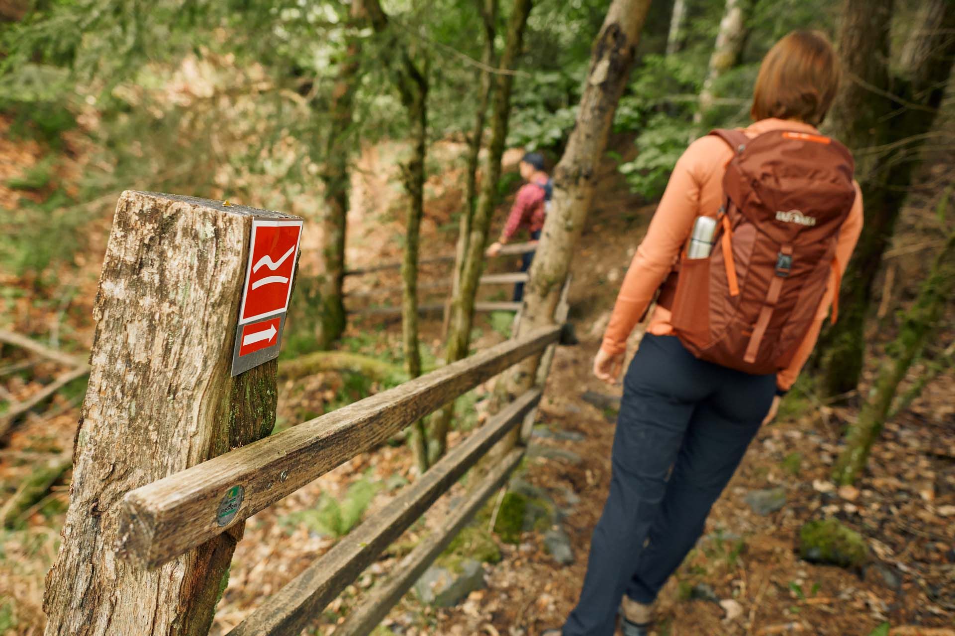 Wandelen in het natuurpark Sauerland Rothaargebergte