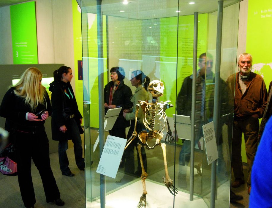 Skeletten en botten behoren ook tot de tentoongestelde voorwerpen in het Neanderthal Museum