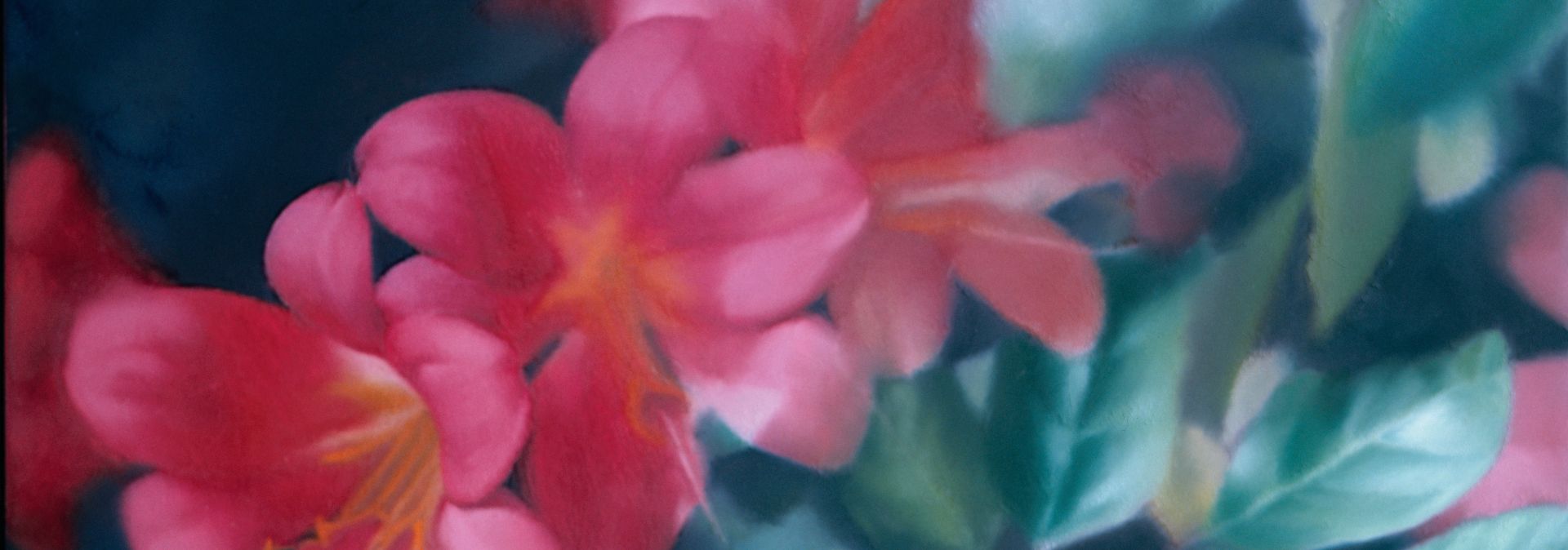 Gerhard Richter, Bloemen, 1977, olieverf op doek, 40 x 50 cm, privé-verzameling