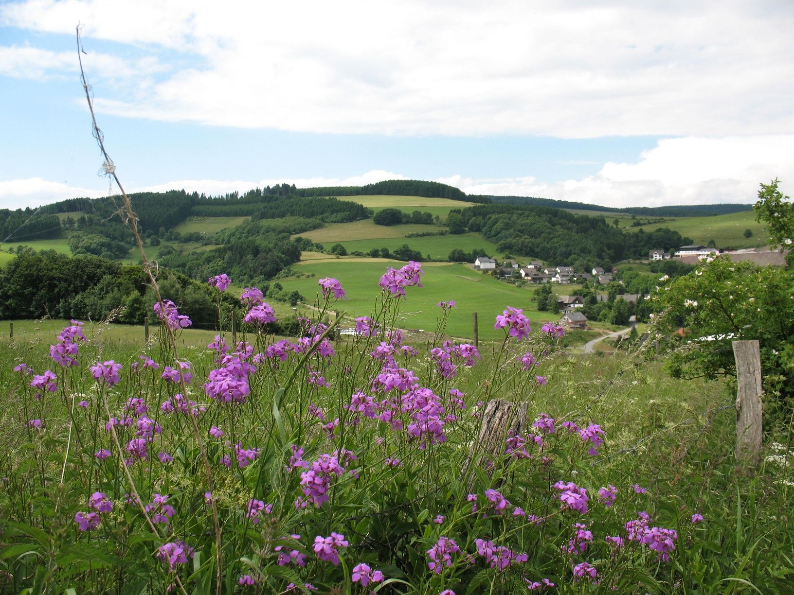 Rondwandeling door Medebach en zijn dorpen in het Sauerland